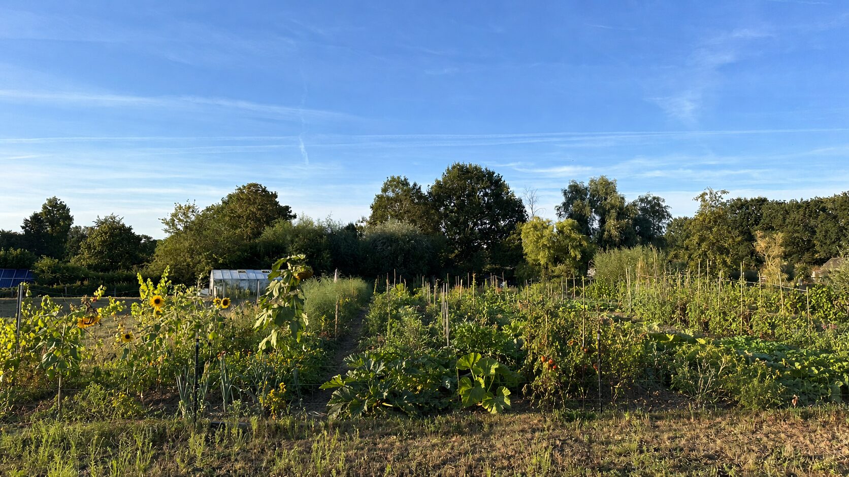 De moestuin van 3.000 vierkante meter